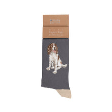 Load image into Gallery viewer, 'Willow' Spaniel Men's Socks