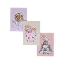 Load image into Gallery viewer, Whiskers &amp; Paws - Set of 3 Notebooks
