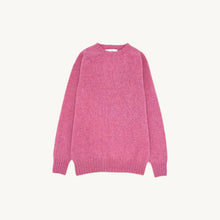Load image into Gallery viewer, Harley Crew Neck Sweater
