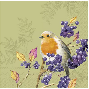 Napkins 33x33 cm - BIRD LIFE