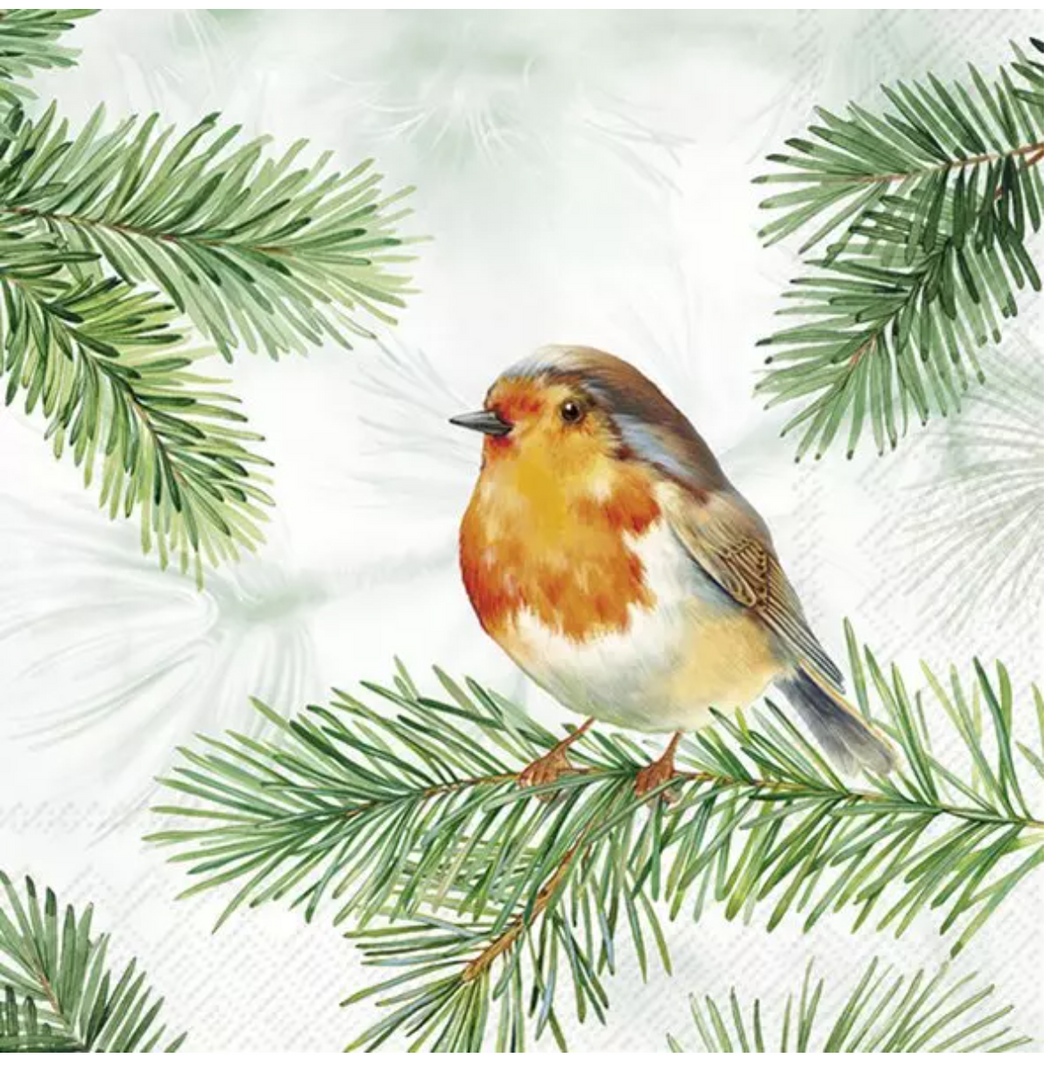 Napkins 33x33 cm - CHARMING ROBIN