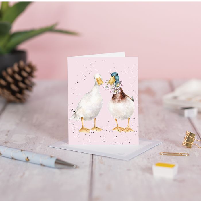 'Not a Daisy Goes By' Duck Gift Enclosure Card