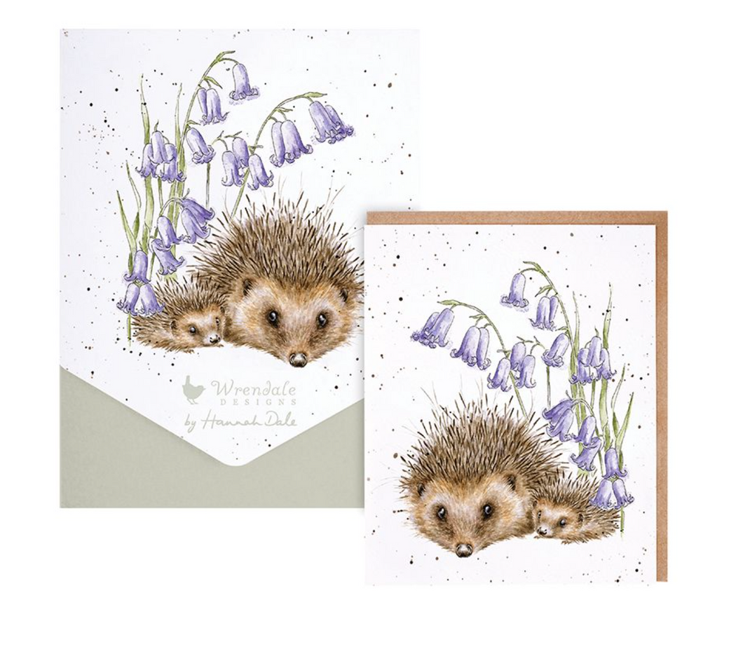 'New Beginnings' Hedgehog Card Pack