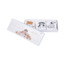 Load image into Gallery viewer, Little Paws Baby Socks - 3 pack
