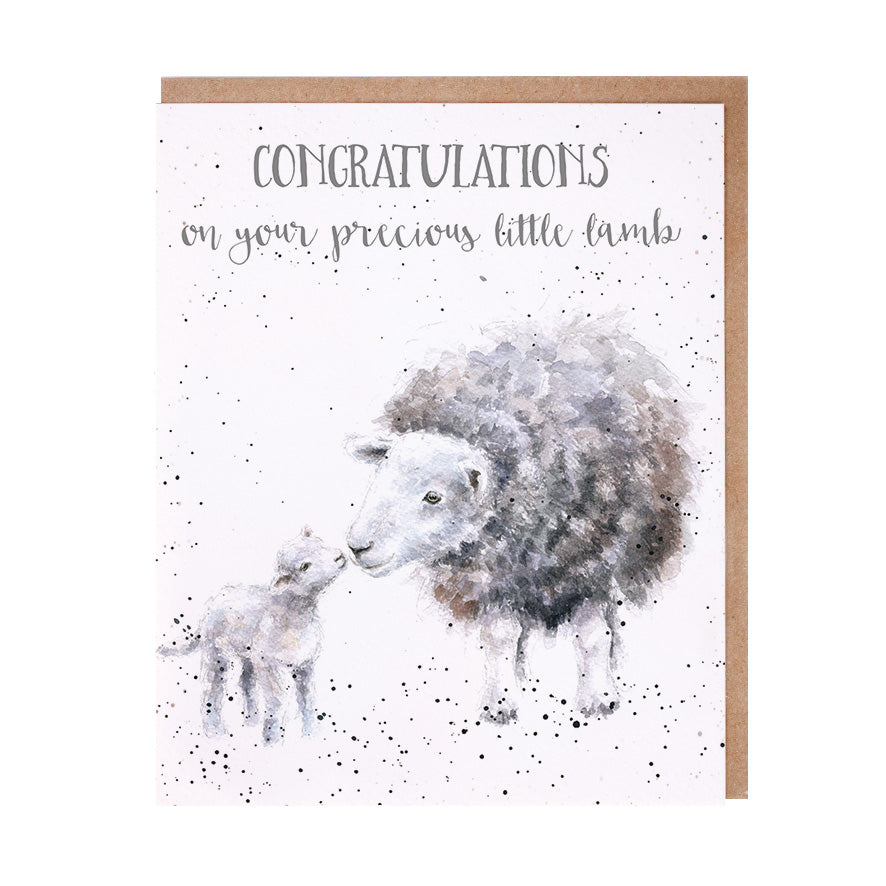Little Lamb Congratulations Card