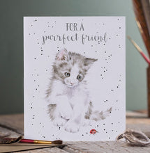 Load image into Gallery viewer, &#39;Ladybird&#39; Cat Friendship Card
