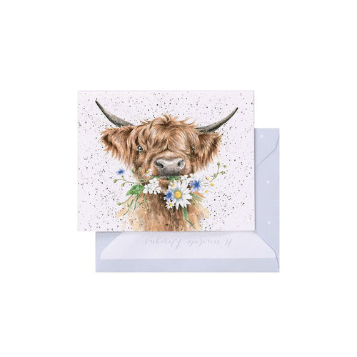 'Daisy Coo' Highland Cow Mini Gift Card