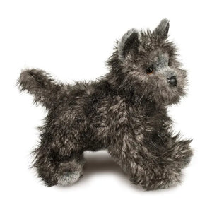Hazel Cairn Terrier