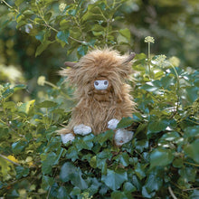 Load image into Gallery viewer, &#39;Gordon Junior&#39; Highland Cow Plush Toy
