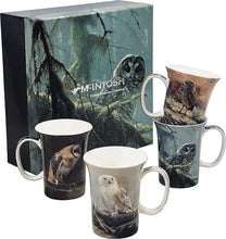 Load image into Gallery viewer, Bateman Owls Set of 4 Mugs
