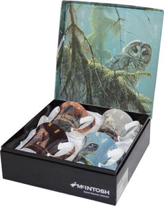 Bateman Owls Set of 4 Mugs