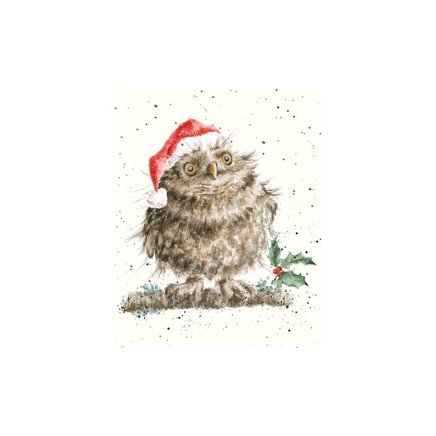 Christmas Owl Mini Holiday Card