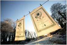 Load image into Gallery viewer, Clan Cloot Tea Towel
