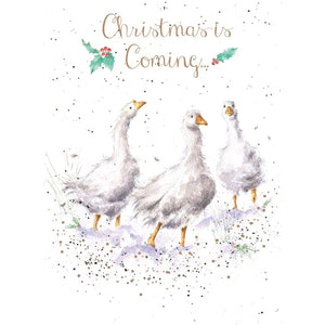 Christmas Is Coming