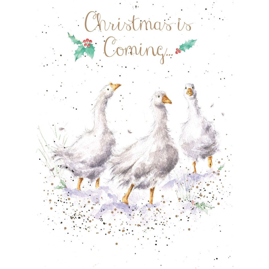 Christmas Is Coming
